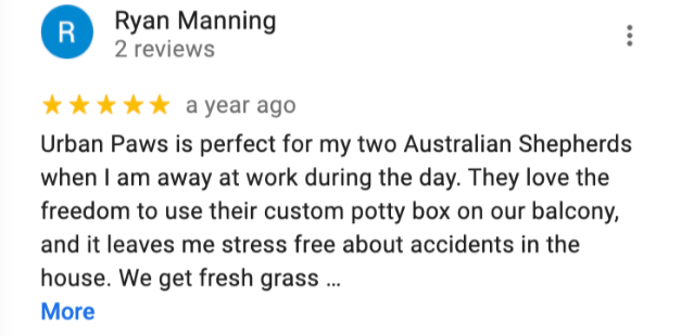 review7.png