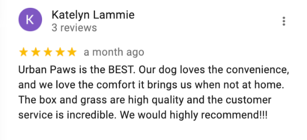 review3.png