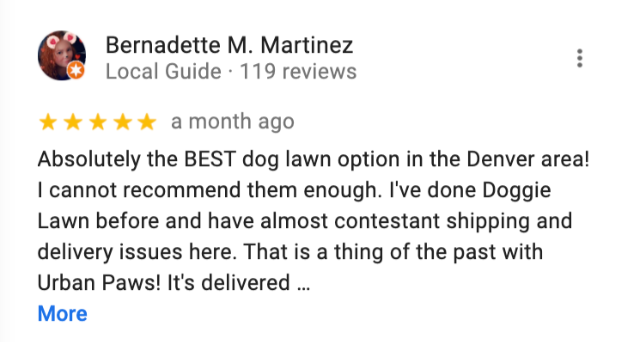 review5.png