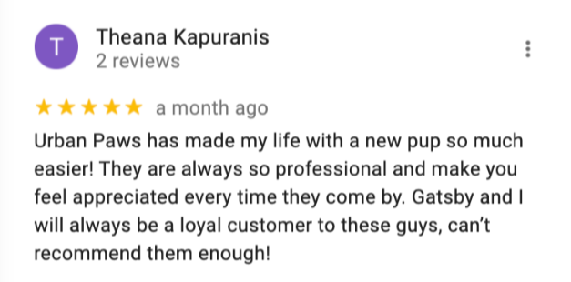 review6.png